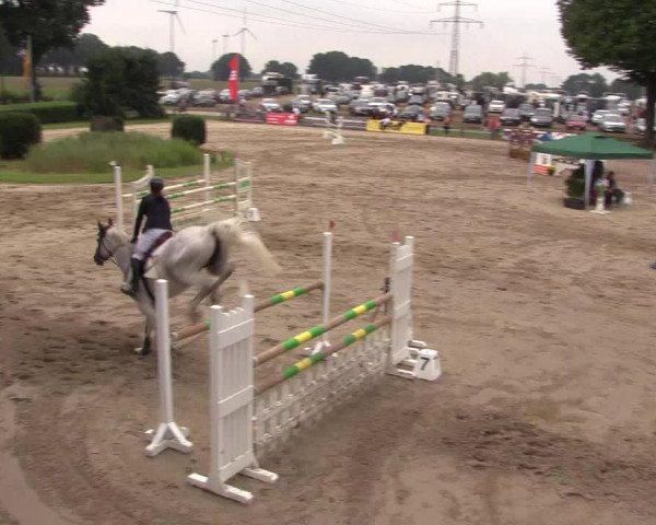Reitturnier Recklinghausen 2017