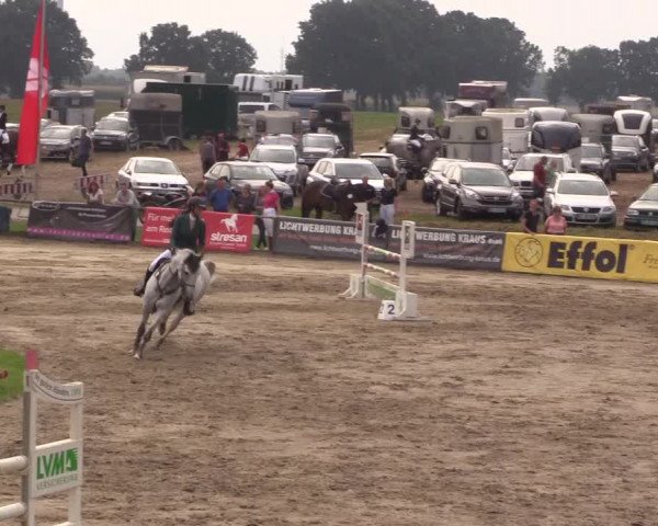 Reitturnier Recklinghausen 2017