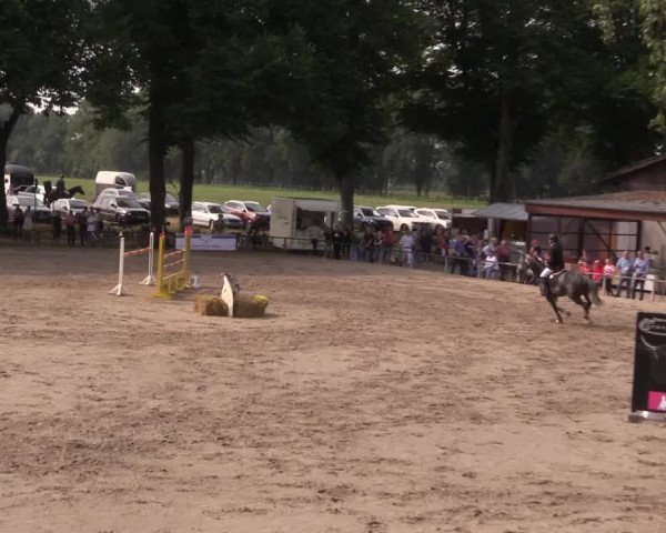 Reitturnier Recklinghausen 2017