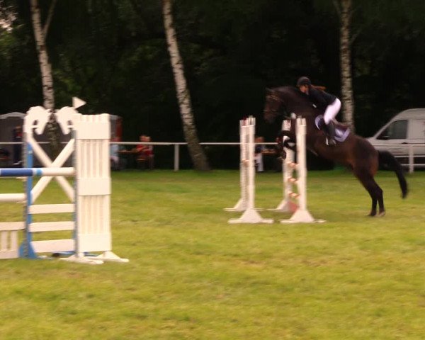 Reitturnier Berlin-Malchow 2017