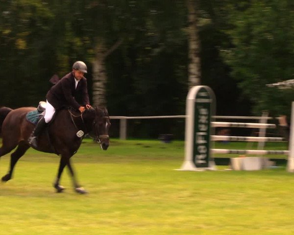 Reitturnier Berlin-Malchow 2017