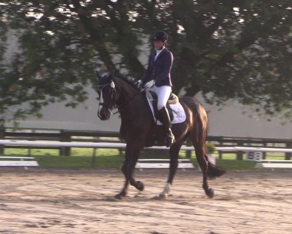 Reitturnier Recklinghausen 2017
