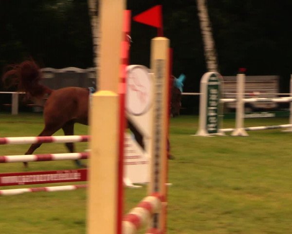 Reitturnier Berlin-Malchow 2017