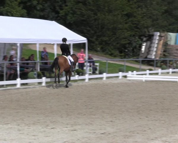 Reitturnier Bühren-Breckerfeld 2017
