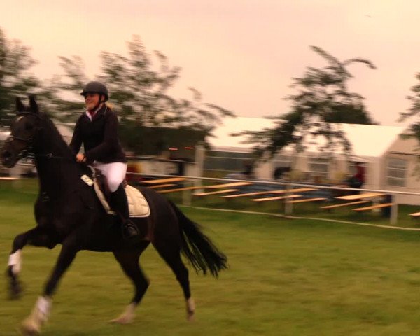 Reitturnier Berlin-Malchow 2017