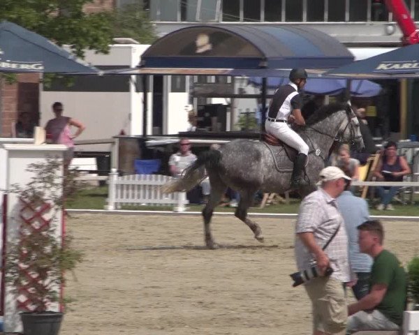 Reitturnier Zweibrücken 2017