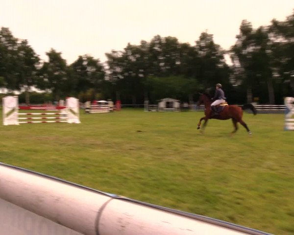 Reitturnier Berlin-Malchow 2017