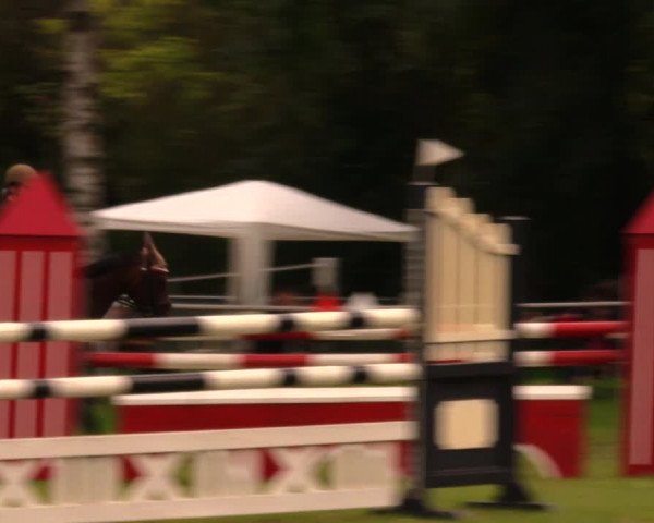 Reitturnier Berlin-Malchow 2017