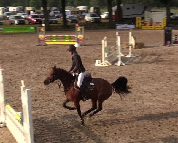 Reitturnier Recklinghausen 2017