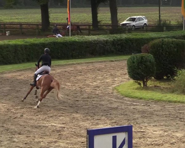 Reitturnier Recklinghausen 2017