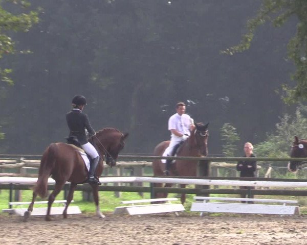 Reitturnier Recklinghausen 2017