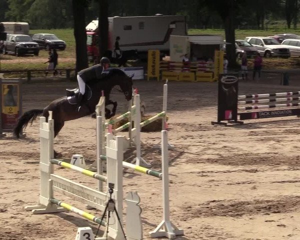 Reitturnier Recklinghausen 2017
