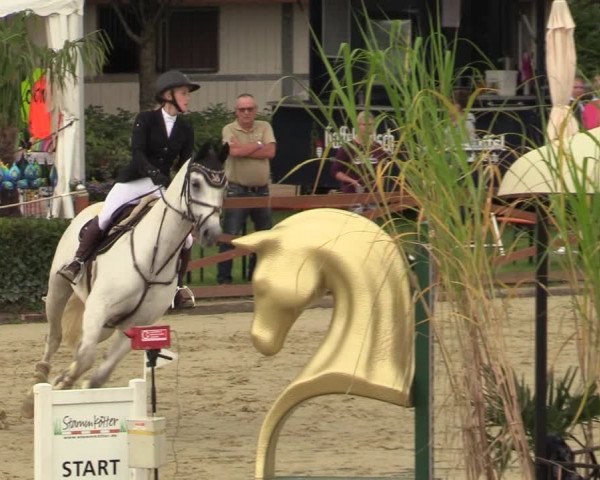 Equus Colonius - Reitanlage Brüse Köln 2021