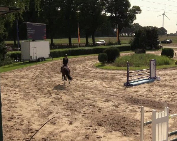 Reitturnier Recklinghausen 2017