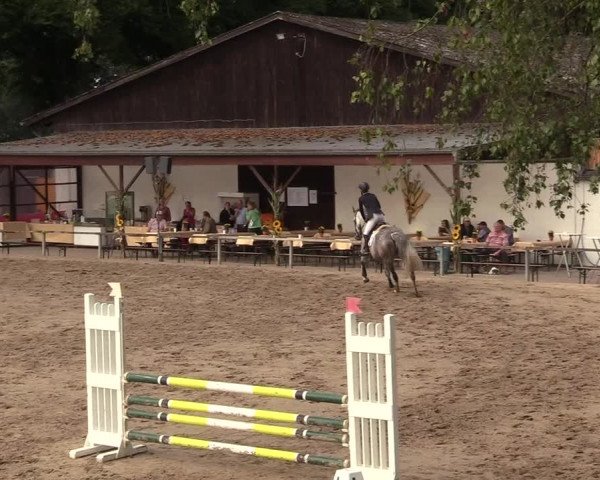 Reitturnier Recklinghausen 2017