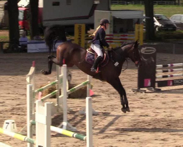 Reitturnier Recklinghausen 2017