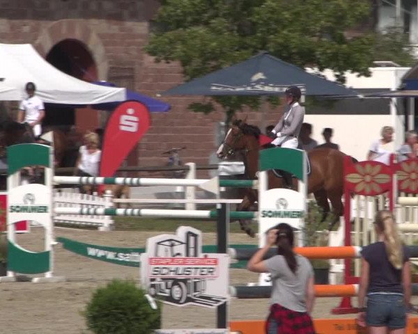 Reitturnier Zweibrücken 2017