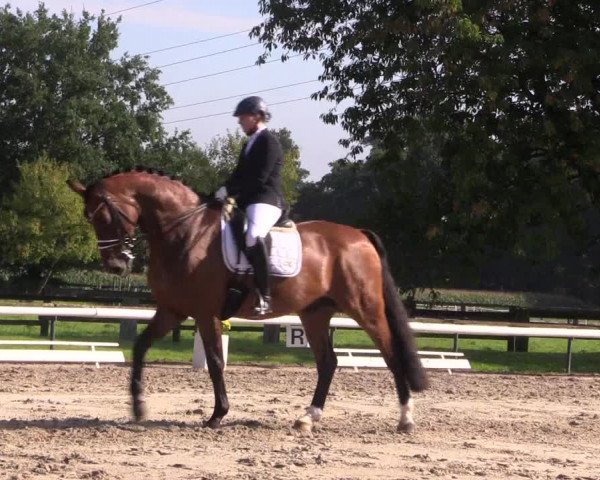 Reitturnier Recklinghausen 2017