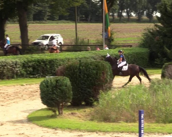 Reitturnier Recklinghausen 2017