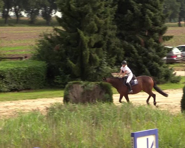 Reitturnier Recklinghausen 2017