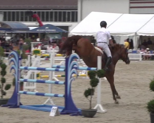 Reitturnier Zweibrücken 2017