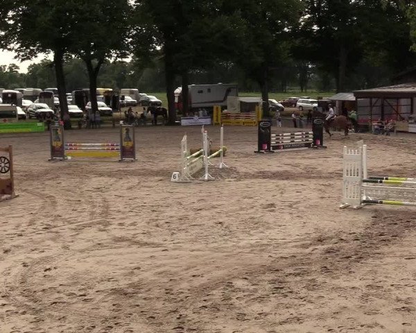 Reitturnier Recklinghausen 2017