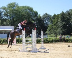 jumper Quidams Quentchen (Holsteiner, 2011, from Quidam de Revel)