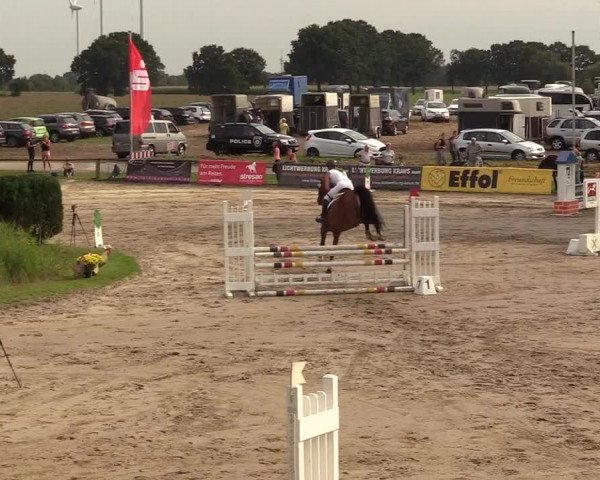 Reitturnier Recklinghausen 2017