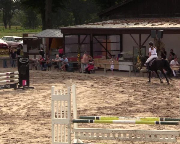 Reitturnier Recklinghausen 2017