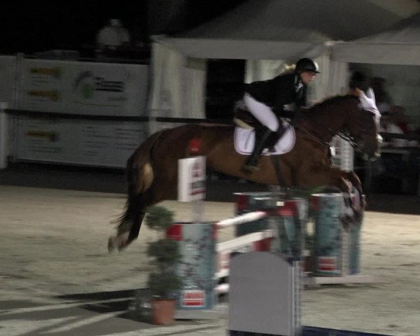 Reitturnier Illertissen 2017