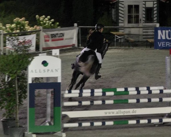 Reitturnier Illertissen 2017