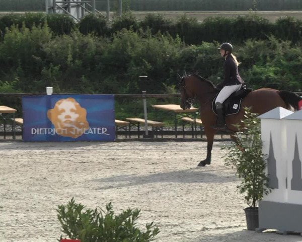 Reitturnier Illertissen 2017