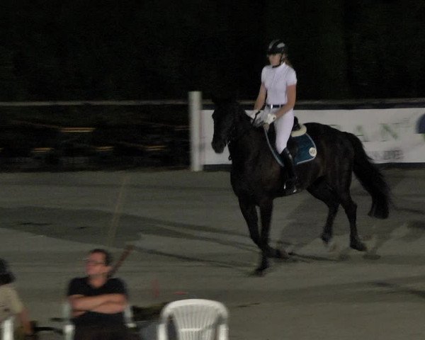 Reitturnier Illertissen 2017