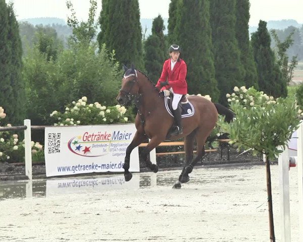 Reitturnier Illertissen 2017