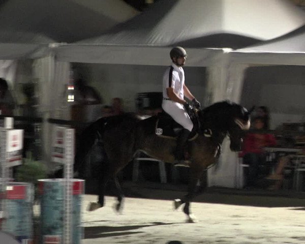Reitturnier Illertissen 2017