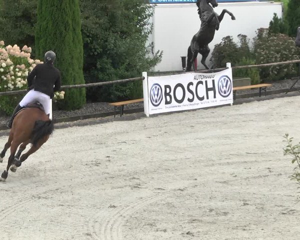 Reitturnier Illertissen 2017