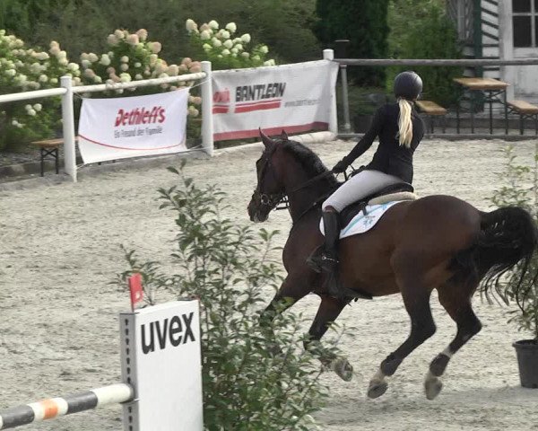 Reitturnier Illertissen 2017