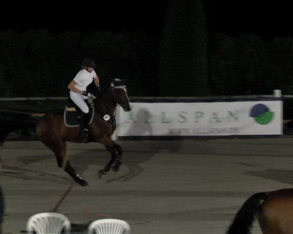 Reitturnier Illertissen 2017