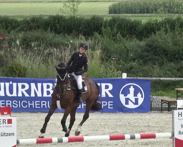 Reitturnier Illertissen 2017