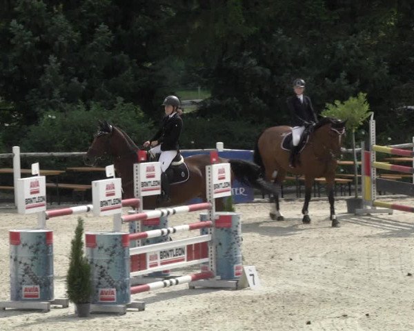 Reitturnier Illertissen 2017