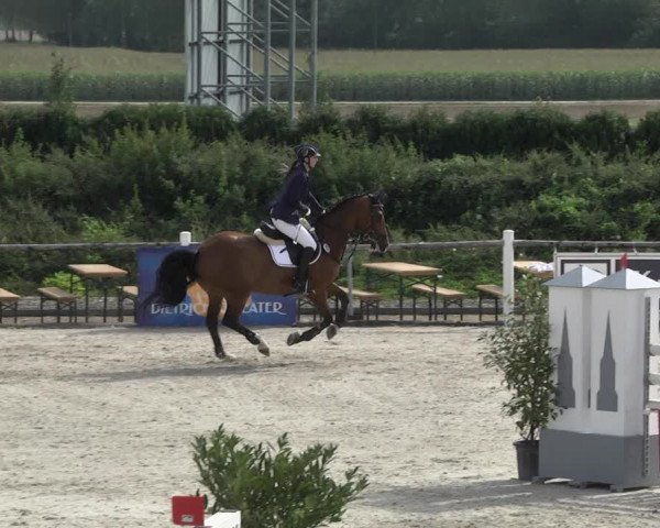 Reitturnier Illertissen 2017
