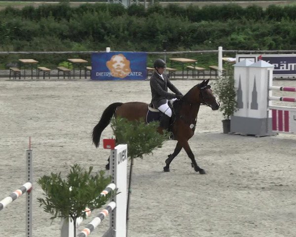 Reitturnier Illertissen 2017