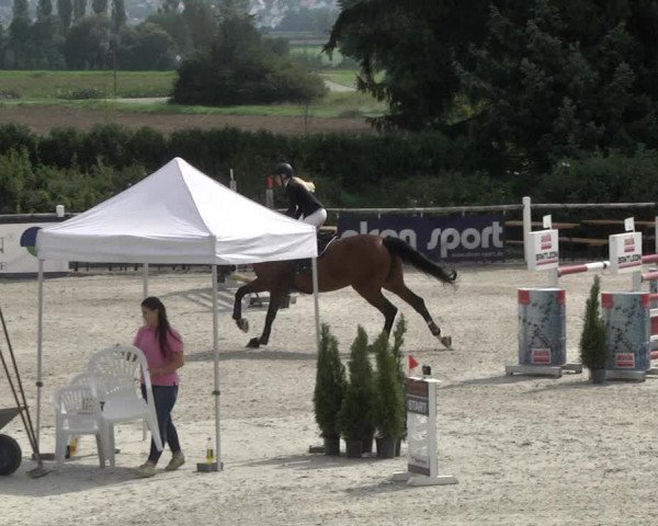 Reitturnier Illertissen 2017