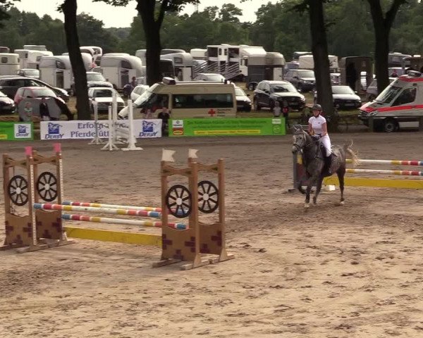 Reitturnier Recklinghausen 2017