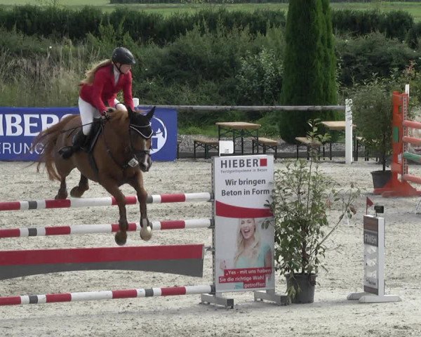 Reitturnier Illertissen 2017