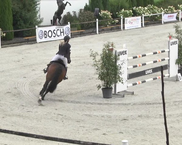 Reitturnier Illertissen 2017