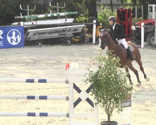 Reitturnier Illertissen 2017
