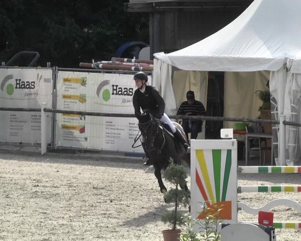 Reitturnier Illertissen 2017
