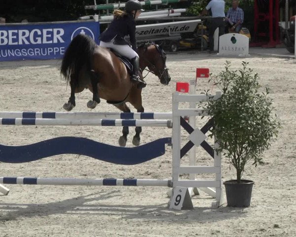 Reitturnier Illertissen 2017