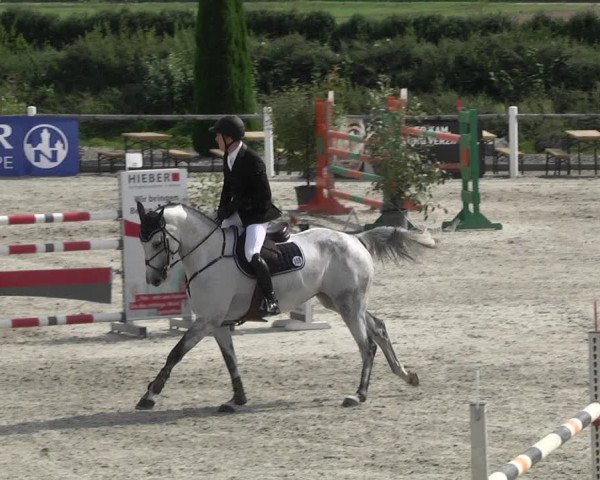 Reitturnier Illertissen 2017